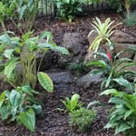 Gold Coast landscaping photo 9